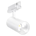 LEDVANCE - TR SP XR HE V 30W 940 24DEG WT LEDV