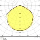 LEDVANCE - Striscia LED V 1000, IP66, 8650K, 5m, Esterno