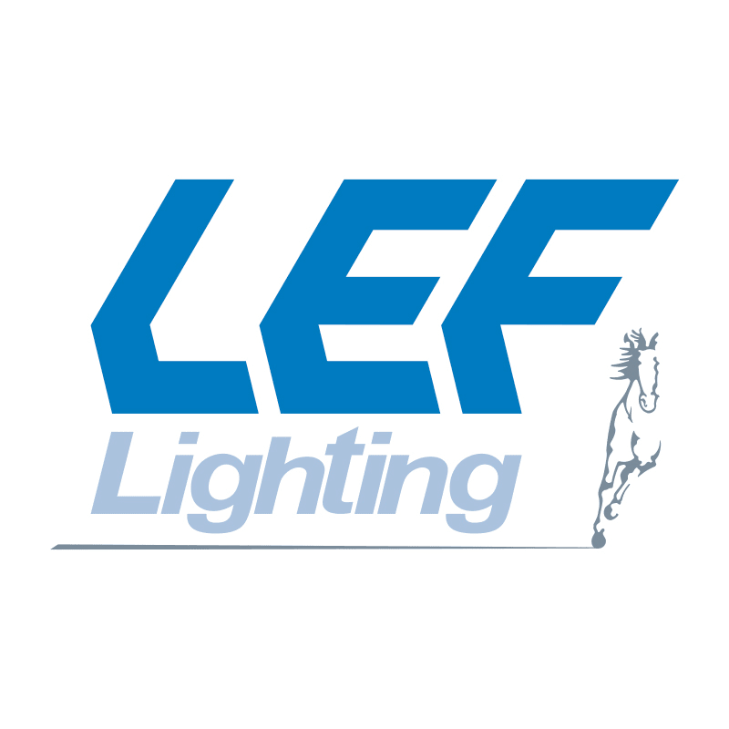 LEF LIGHTING - INTERFACCIA SLAVE RX CC 350-700mA 3CH