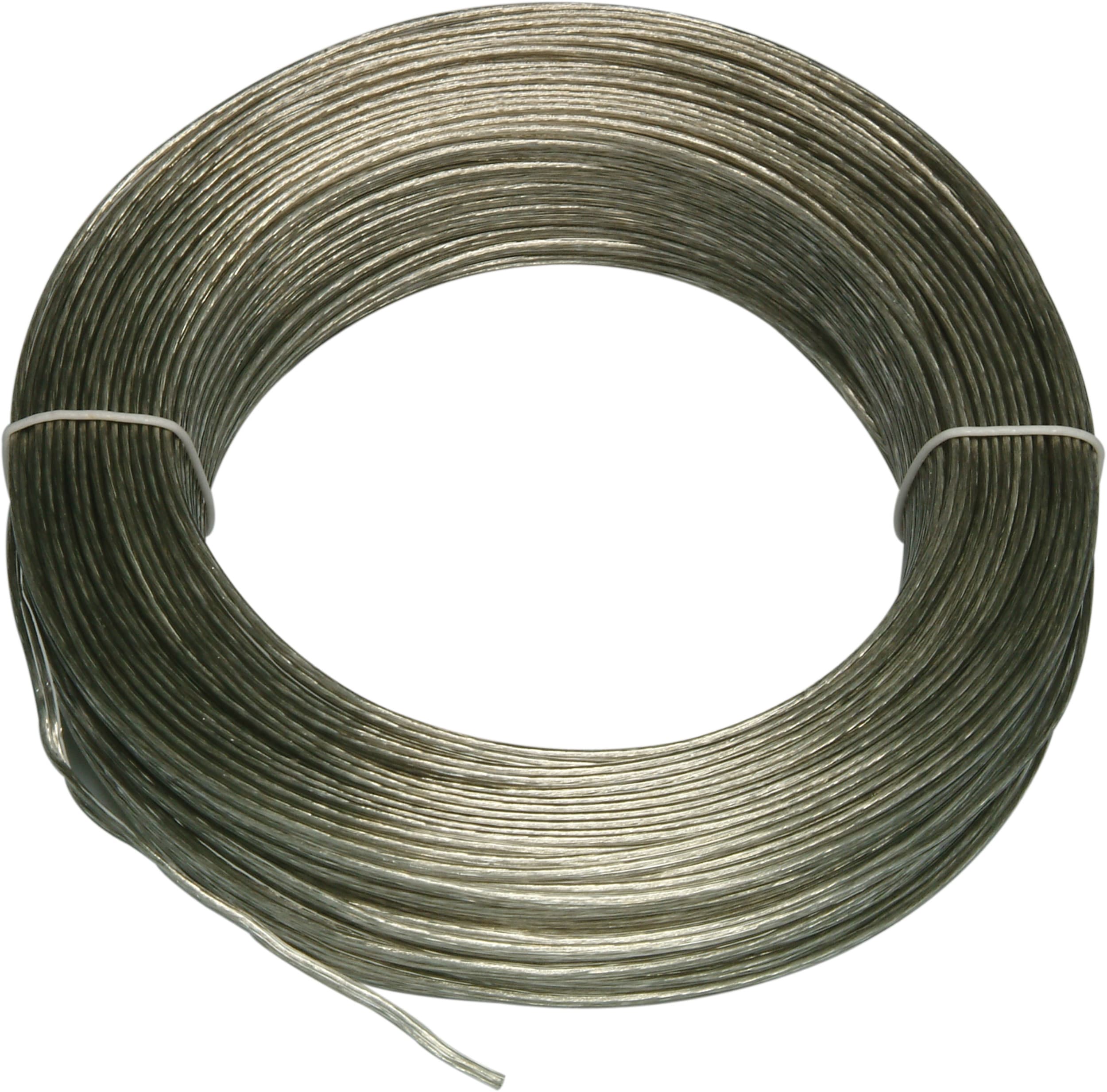 LE PROLUNGHE - Piattina c/s 2x0.50 argento - mt.100.