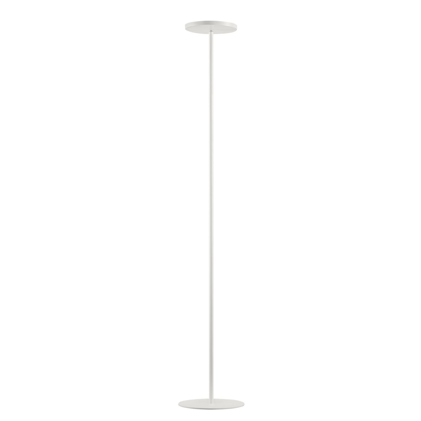 LINEA LIGHT - JOSHUA PIANT.LED 25W B.CO RAGG