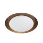 LINEA LIGHT - Lampada a parete - Plafone - Sospensione | 220-240 V | 1 topLED 21 W DC - 22 W AC