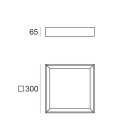 LINEA LIGHT - Lampada a parete - Plafone | 198-264 V | 2 topLED 18 W DC - 21 W AC