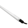 Miniatura Immagine principale 1