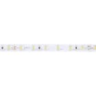 LINEA LIGHT - LED Strip | 300 stripLED 25 W DC 24 V | 5 W/m | 529.8 Lm/m