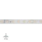 LINEA LIGHT - LED Strip | 350 topLED 62.5 W DC 24 V | 12.5 W/m | 1392.6 Lm/m