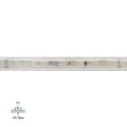 LINEA LIGHT - LED Strip | 700 topLED 125 W DC 24 V | 25 W/m | 3172.4 Lm/m