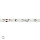 LINEA LIGHT - LED Strip | 350 topLED 48 W DC 24 V | 9.6 W/m | 1150 Lm/m
