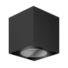 LINEA LIGHT - Plafone | 198-264 V | 1 arrayLED 14 W DC - 15.8 W AC