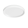 Miniatura Immagine principale 1