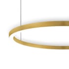 LINEA LIGHT - TOUR SOS.DI.114W 24V D2450 BN ORO