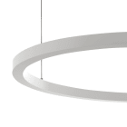 LINEA LIGHT - TOUR SOSP.IND.114W 24V D.2450 BC BR