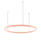 LINEA LIGHT - TOUR SOS.DIR.45W 24V D910 BC ROSE G