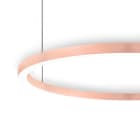 LINEA LIGHT - TOUR SO.DI.114W 24V D2450 BC ROSE G