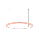 LINEA LIGHT - TOUR SOS.INT.29W 24V D750 BC ROSE G