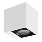 LINEA LIGHT - CUBIT 45 2L BI-EM 24WAC 220V BG
