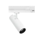 LINEA LIGHT - Proiettori | 176-264 V | 1 arrayLED 13 W DC - 15.5 W AC