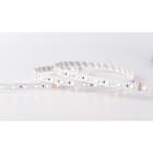 LINEA LIGHT - RIBBON 12MM 48V RGBW 3000K