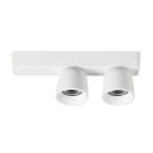 LINEA LIGHT - MINION SPOT 2L 12W 40 B.CO RAG +GH