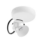 LINEA LIGHT - Plafone - Proiettori | 1 x powerLED 8 W DC - 10 W AC