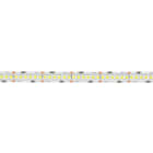 LINEA LIGHT - RIB/R. 10MM WW 24V 240L/MT LOW.+CON
