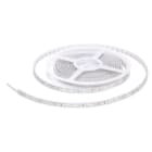 LINEA LIGHT - DIAMOND/ROLLA BN 24V 60LED+CON.