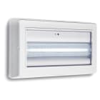 LINERGY - EVOLUTION LED 700LM SL IP65 CENTRAL BATT
