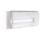 LINERGY - ICETEK 1000LM SL IP67 SPY CENTER