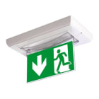 LINERGY - KIT BIFACCIALE DI SEGNALAZIONE PER LEDY A030