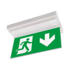 LINERGY - KIT BIFACCIALE SEGNAL. PRODIGY XL E GOST A291