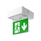 LINERGY - KIT BIFACCIALE SEGNALAZIONE VIALED MINI A341