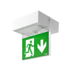 LINERGY - KIT BIFACCIALE SEGNALAZIONE VIALED MINI A341