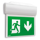 LINERGY - LEXIT 32M SL IP65 CENTRAL BATTERY