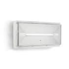 LINERGY - PRODIGY XL 560LM SL IP65 CENTRAL BATTERY