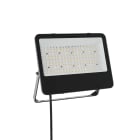 LIT BY CARDI - FLOOD LED 100W 12000LM ASYM CCT 3-4-65K