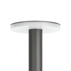 LOMBARDO - LINE 220 LED 3K 11W ANTRAC.