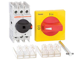 LOVATO ELECTRIC - SEZ. 4P 25A+ASTA 300MM+MANIG.+COPRITER.