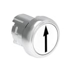 LOVATO ELECTRIC - PULSANTE MET. RASATO FR.SU-GIU' BIANCO