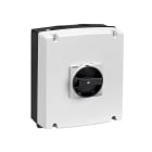 LOVATO ELECTRIC - SEZIONATORE 3P 63A IN CASSETTA+GAX61B