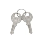 LOVATO ELECTRIC - COPPIA CHIAVI RICAMBIO CIFRATURA 458A LPXA170R458A