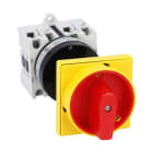 LOVATO ELECTRIC - INT 3P 32A F QUAD MAN G/R BL POR 65X65