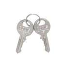 LOVATO ELECTRIC - COPPIA CHIAVI STANDARD RICAMBIO 455