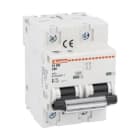 LOVATO ELECTRIC - INTERRUTT. MAGNETOTERMICO 2P C 100A 10KA