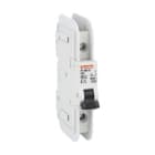 LOVATO ELECTRIC - MCB 1P C50 120V 10KA UL489 P1MBUL1PC50