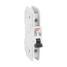 LOVATO ELECTRIC - MCB 1P D50 120V 10KA UL489 P1MBUL1PD50