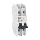 LOVATO ELECTRIC - MCB 2P C40 240V 10KA UL489 P1MBUL2PC40
