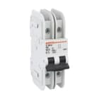 LOVATO ELECTRIC - MCB 2P D50 240V 10KA UL489