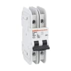 LOVATO ELECTRIC - MCB 2P D60 240V 10KA UL489 P1MBUL2PD60
