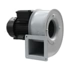 MAICO - IC 100 M 009K LG STD 1IC0000