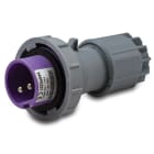 MASTER - SP.2P 16A 50/60HZ 24V IP67 VIOLA
